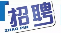岱岳區(qū)政務(wù)服務(wù)中心招人啦！大專以上學歷，即日起報名